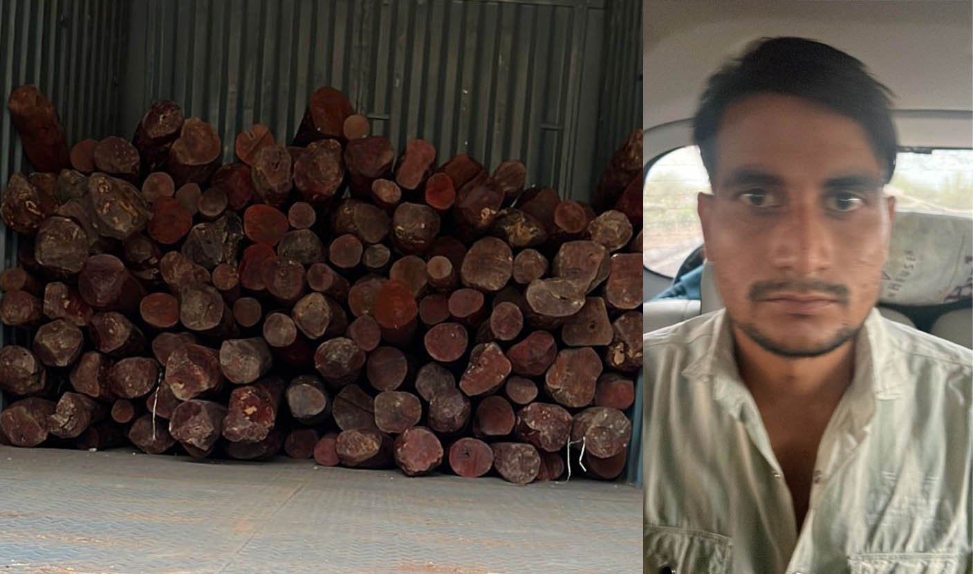 Delhi Jaipur Highway पर 3 करोड़ की कीमत वाली लाल चंदन लकड़ियां पकड़ी