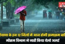 Haryana Weather Alert: हरियाणा के इन 12 जिलों में आज होगी झमाझम बारिश, मौसम विभाग ने जारी किया येलो अलर्ट