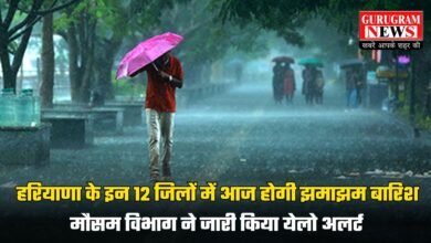 Haryana Weather Alert: हरियाणा के इन 12 जिलों में आज होगी झमाझम बारिश, मौसम विभाग ने जारी किया येलो अलर्ट