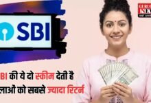 SBI Scheme: SBI की ये दो स्कीम देती है महिलाओं को सबसे ज्यादा रिटर्न, जानें पूरी डिटेल