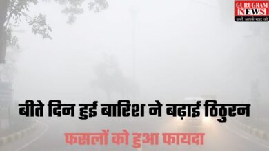 Haryana Weather Today: हरियाणा में शीतलहर का प्रकोप जारी, बीते दिन हुई बारिश ने बढ़ाई ठिठुरन, फसलों को हुआ फायदा