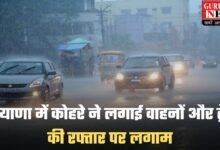 Weather Update: हरियाणा में कोहरे ने लगाई वाहनों और ट्रेनों की रफ्तार पर लगाम, पश्चिमी विक्षोभ सक्रिय होने से फिर बूंदाबांदी के आसार