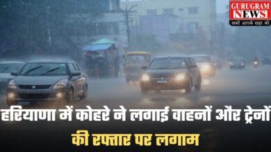 Weather Update: हरियाणा में कोहरे ने लगाई वाहनों और ट्रेनों की रफ्तार पर लगाम, पश्चिमी विक्षोभ सक्रिय होने से फिर बूंदाबांदी के आसार