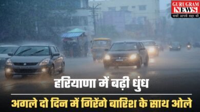 Haryana Mausam: हरियाणा में बढ़ी धुंध, अगले दो दिन में गिरेंगे बारिश के साथ ओले, मौसम विभाग ने जारी किया अलर्ट