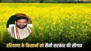 Haryana: हरियाणा के किसानों को सैनी सरकार की सौगात, इस योजना से सूरजमुखी और सरसों उत्पादक किसानों को होगा फायदा
