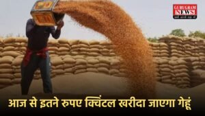 Kisan News: किसान भाइयों के लिए बड़ी खबर, आज से इतने रुपए क्विंटल खरीदा जाएगा गेहूं