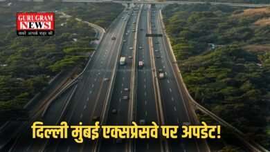 Delhi Mumbai Expressway (1)