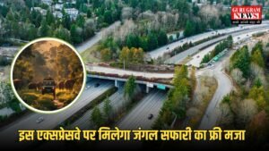 Wildlife Corridor: इस एक्सप्रेसवे पर मिलेगा जंगल सफारी का फ्री मजा, यहाँ तैयार होगा एशिया का सबसे लंबा वाइल्डलाइफ कॉरिडोर