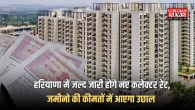 Haryana Collector Rate