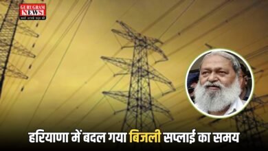 Haryana Electricity