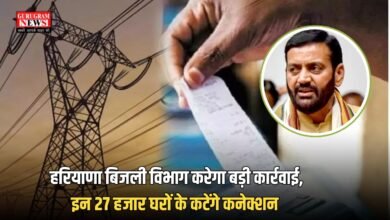 Haryana Electricity