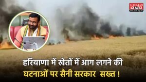Haryana Govt: हरियाणा में खेतों में आग लगने की घटनाओं पर सैनी सरकार  सख्त ! सभी DC को दिए ये निर्देश