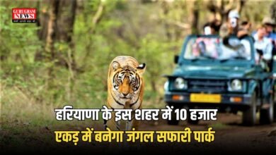 Haryana Jungle Safari