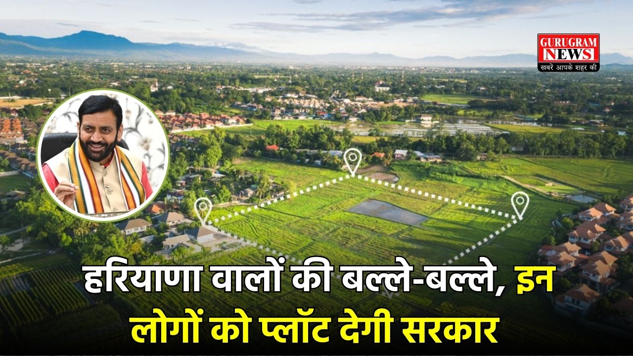 Haryana PLOT