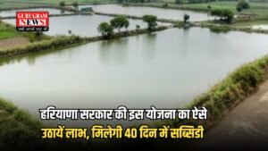 Haryana: हरियाणा सरकार की इस योजना का ऐसे उठायें लाभ ,  मिलेगी 40 दिन में सब्सिडी 
