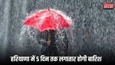 Haryana Weather Alert