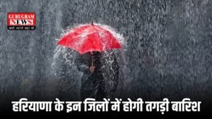 Weather Update: हरियाणा में मौसम विभाग का बड़ा फैसला! इन जिलों में होगी तगड़ी बारिश