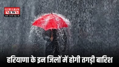 Haryana Weather Update