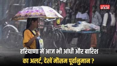 Haryana Weather Update (3)