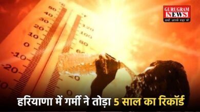 Haryana Weather Update