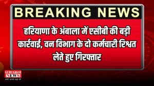 Haryana News: हरियाणा के अंबाला में एसीबी की बड़ी कार्रवाई, वन विभाग के दो कर्मचारी रिश्वत लेते हुए गिरफ्तार