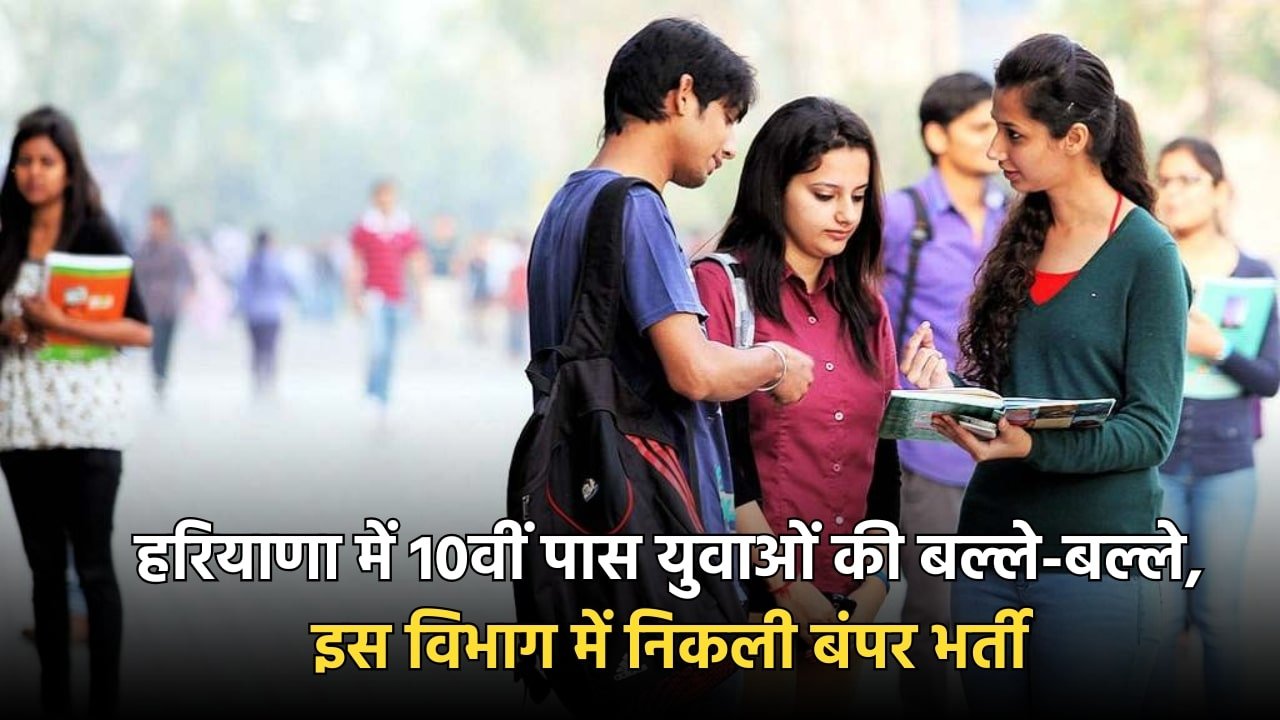 Haryana naukri