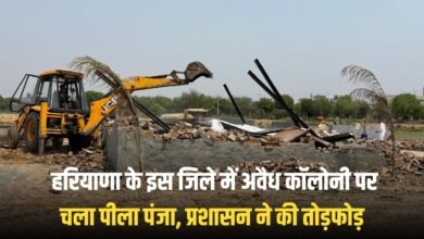 haryana peela panja news