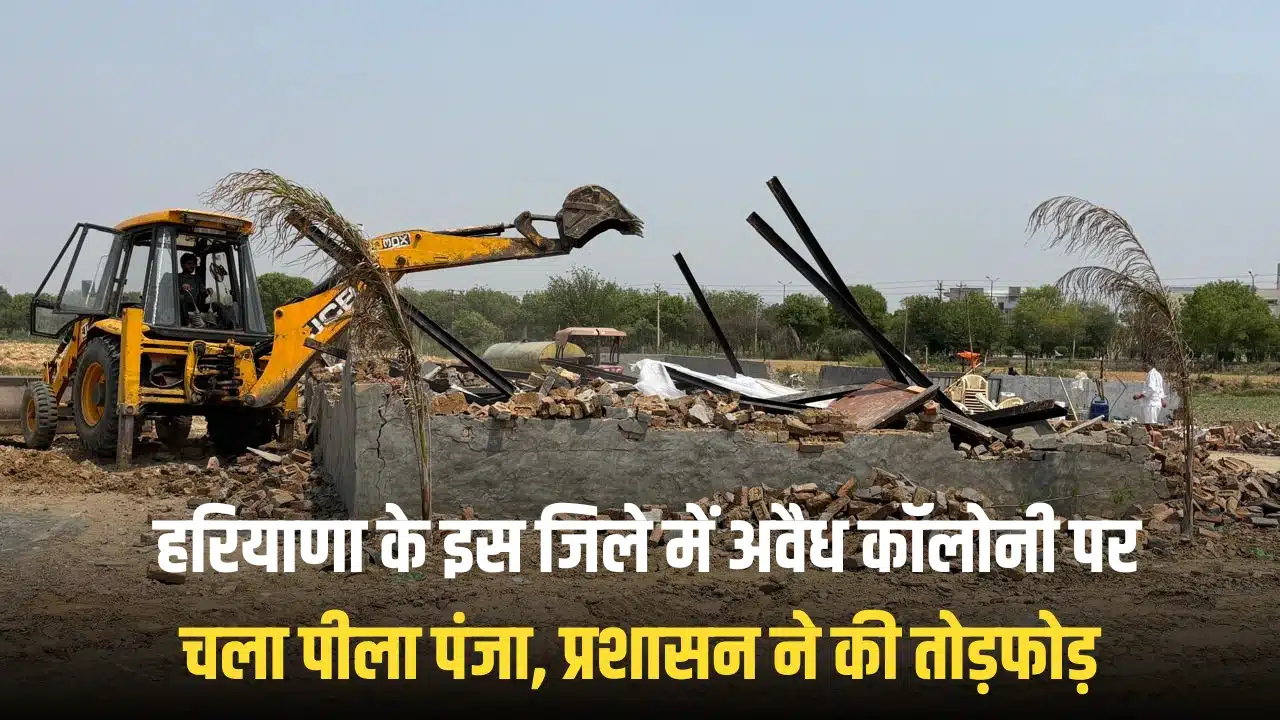 haryana peela panja news