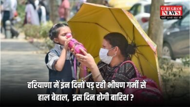 haryana weather news