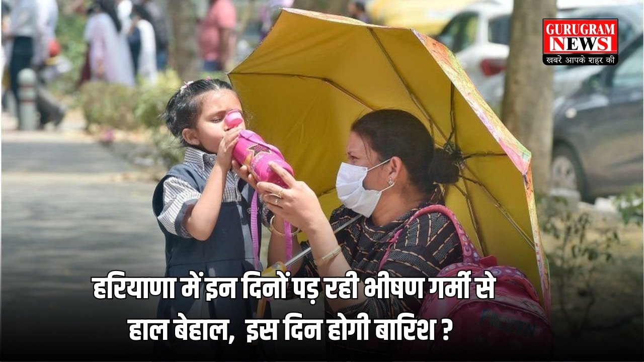 haryana weather news