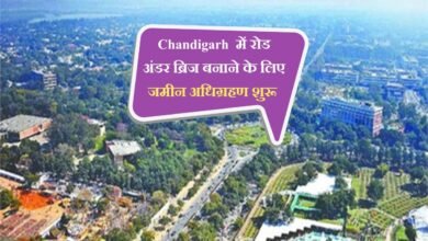 Chandigarh news