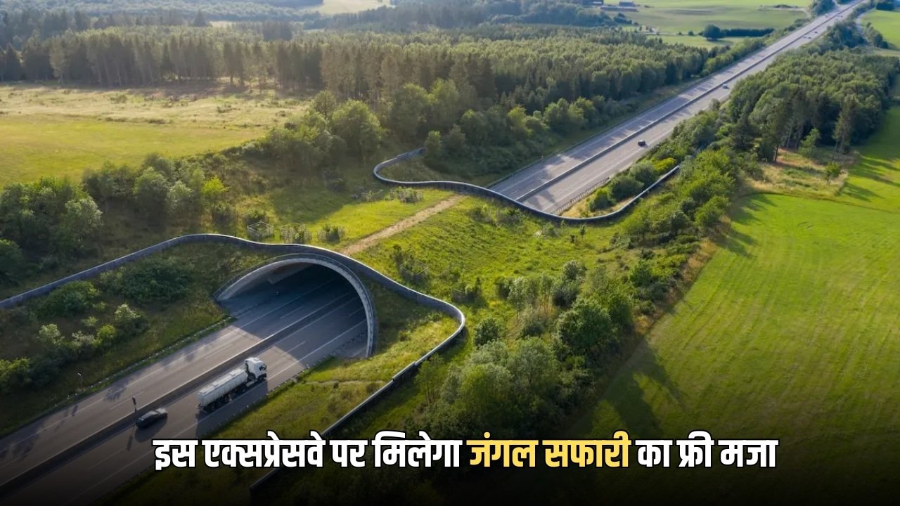 Green Field Expressway