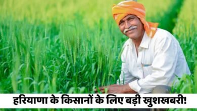 Haryana News: Great news for the farmers of Haryana! Such farmers will become very rich