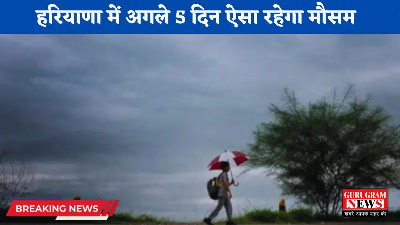 Haryana Weather: हरियाणा में अगले 5 दिन ऐसा रहेगा मौसम, देखें ताजा जानकारी