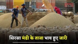 Mandi Bhav: हरियाणा की सिरसा मंडी के ताजा भाव हुए जारी, देखें सभी फसलों के नए दाम