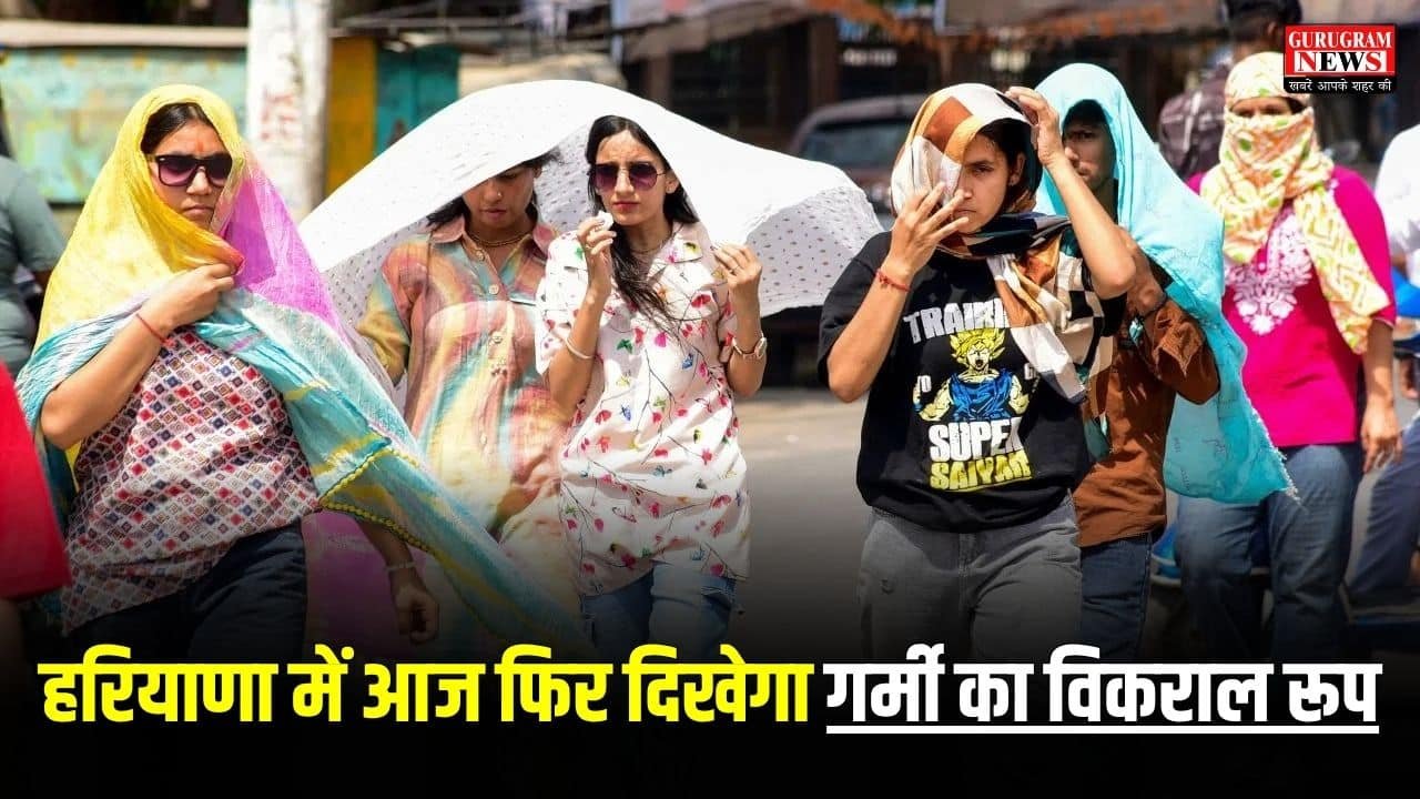 Haryana Today Weather