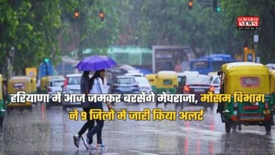 Haryana Weather