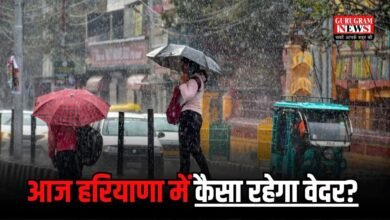 Haryana Weather Update