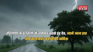 Haryana weather
