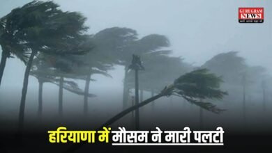 Haryana weather Today