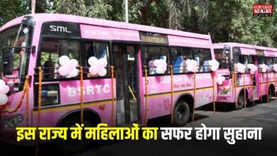 Pink Bus Service