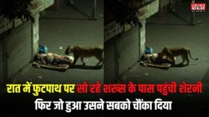 Viral Video: रात में फुटपाथ पर सो रहे शख्स के पास पहुंची शेरनी, फिर जो हुआ उसने सबको चौंका दिया, वायरल हो रहा वीडियो