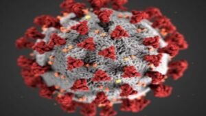 गुरुग्राम में बढ़ रहा कोरोना का ग्राफ: 12 नए मामले, स्वास्थ्य विभाग अलर्ट पर