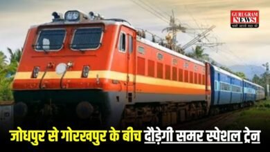 Summer Special Train