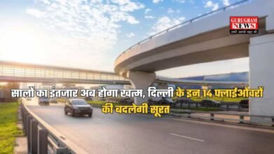 Delhi Flyover: