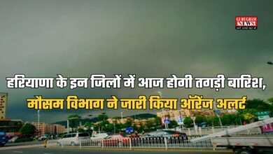 हरियाणा