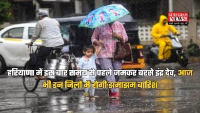 Haryana Weather Update