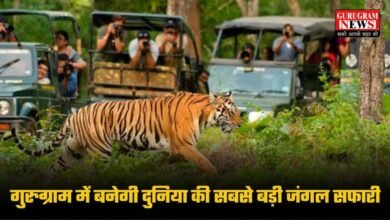 Gurugram Jungle Safari Project