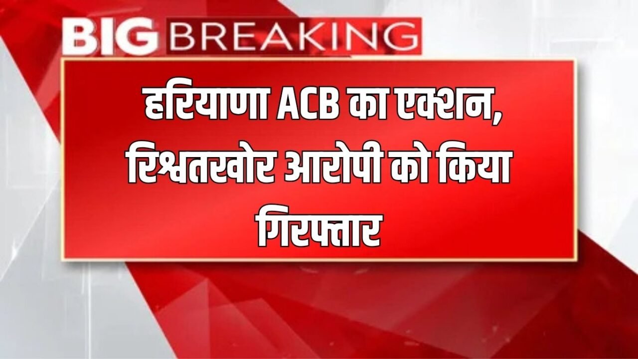 Haryana News: Haryana ACB takes action, arrests bribe-taking accused