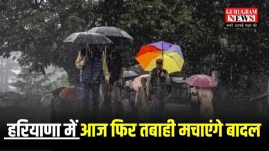 Haryana Weather